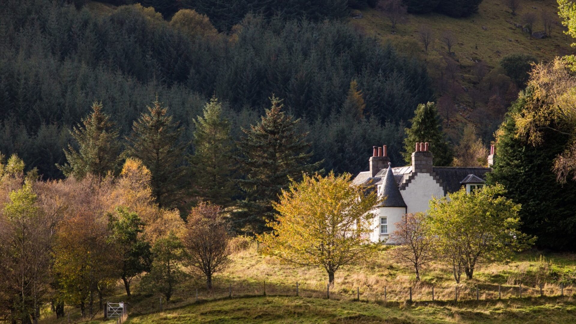 LA 057 Dower External Forest 1620 x 1080
