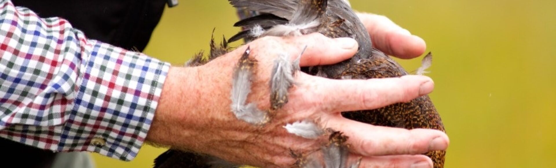LA 037 Sporting Grouse hands 1920 x 580