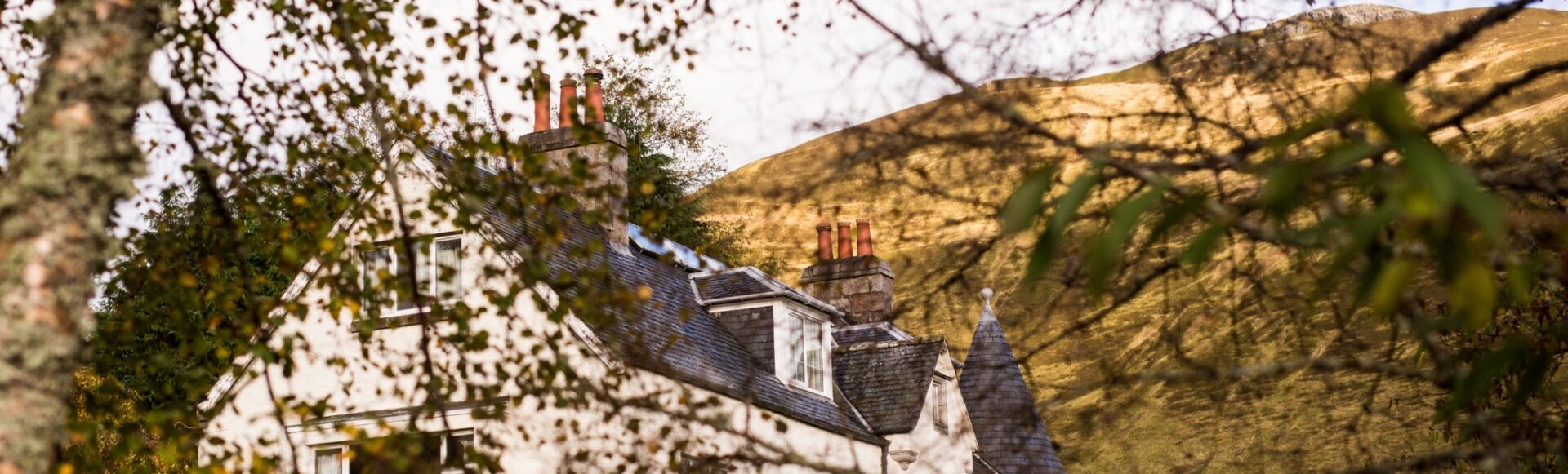 LA 055 Cottages Dower Exterior Through Leaves 3000 x 2000