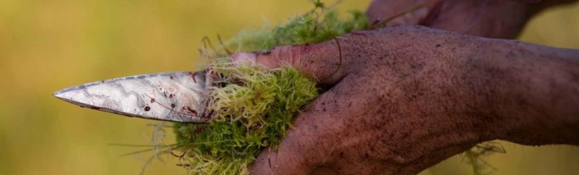 LA 079 Sporting wipe knife with moss 1920 x 580