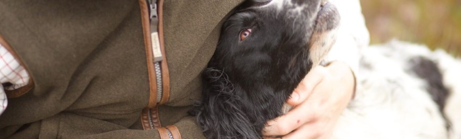 LA 094 Sporting affection to dog 1920 x 580