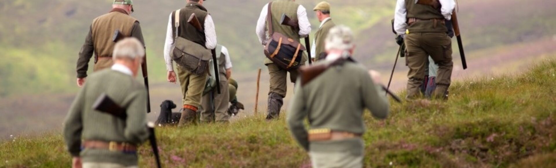 LA 100 Sporting Guns walking 1920 x 580