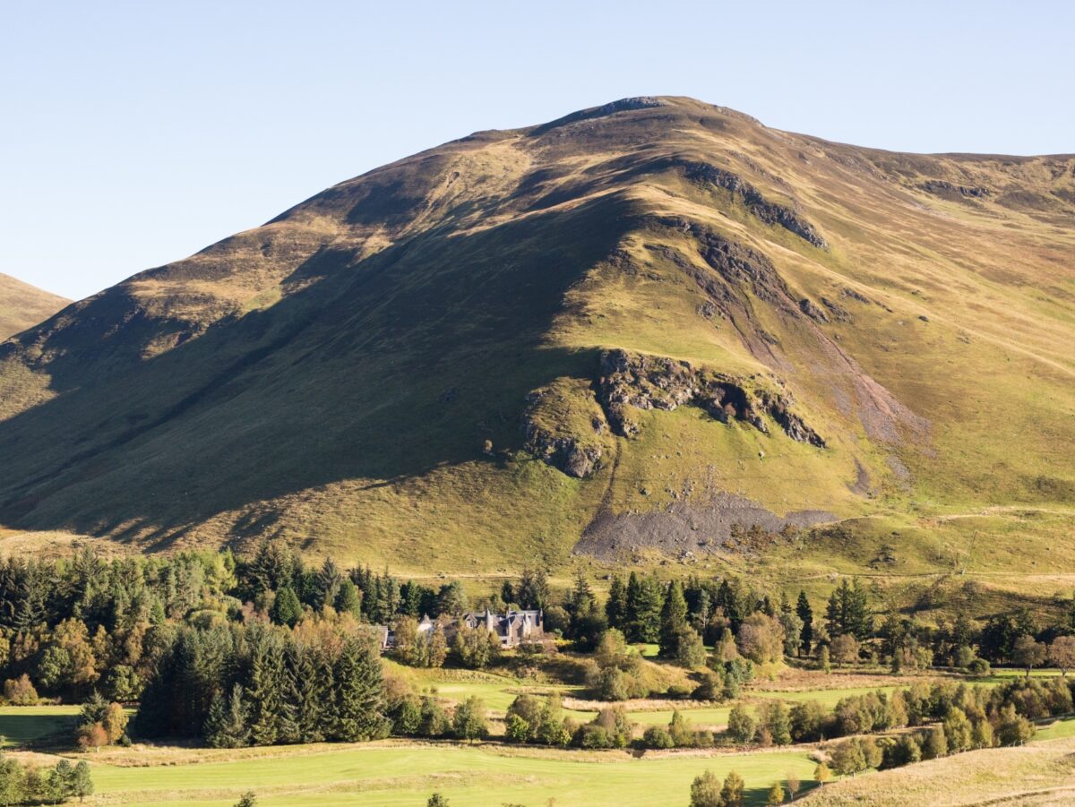 LA 045 Ben Gulabin